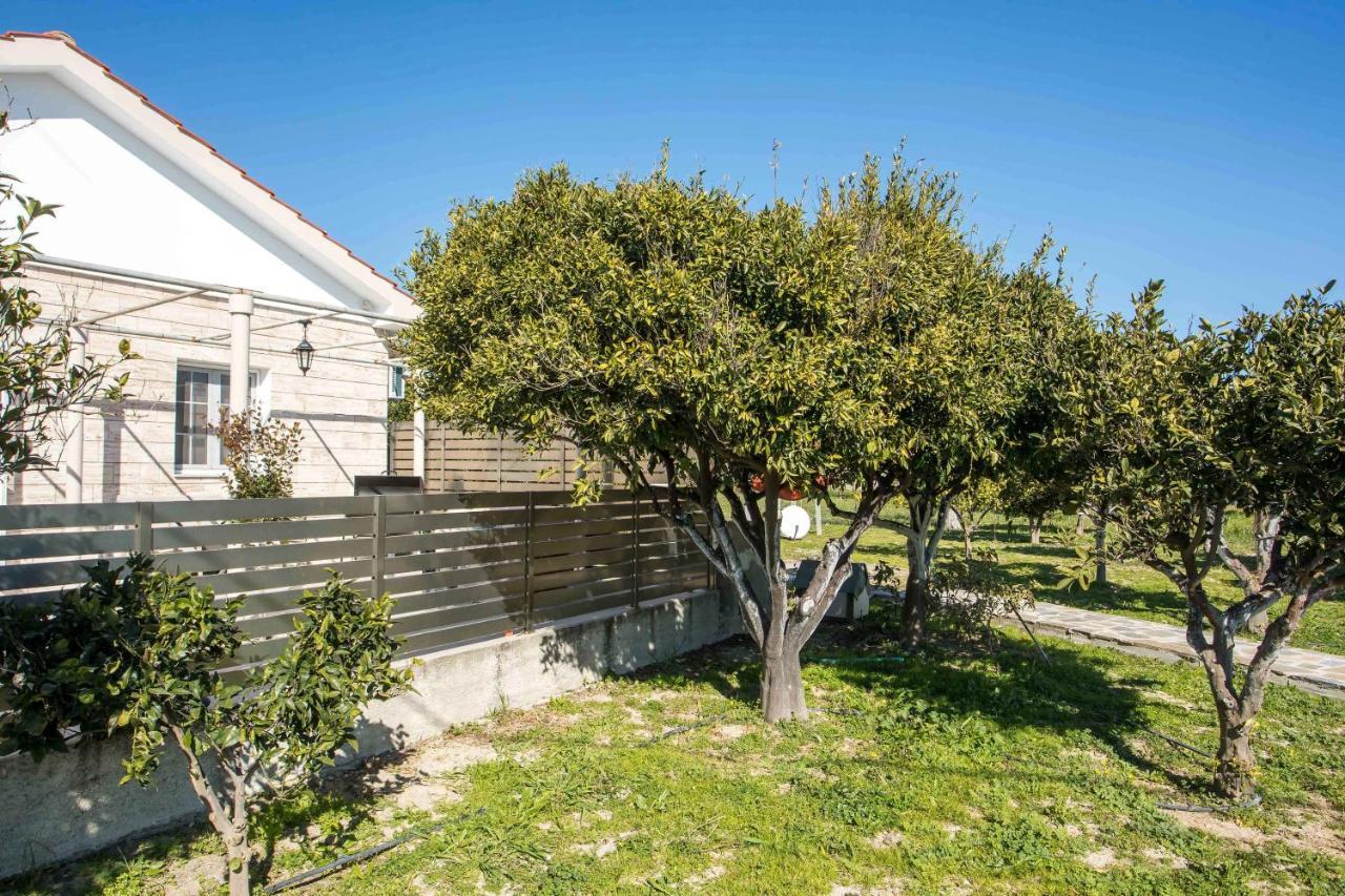 Faliraki Citrus Garden Exterior photo